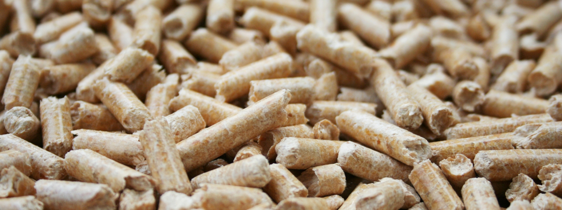 best wood PELLETS: Aktuelle Angebote und Aktionen sowie über Produkte und Services über unseren Newsletter erhalten.